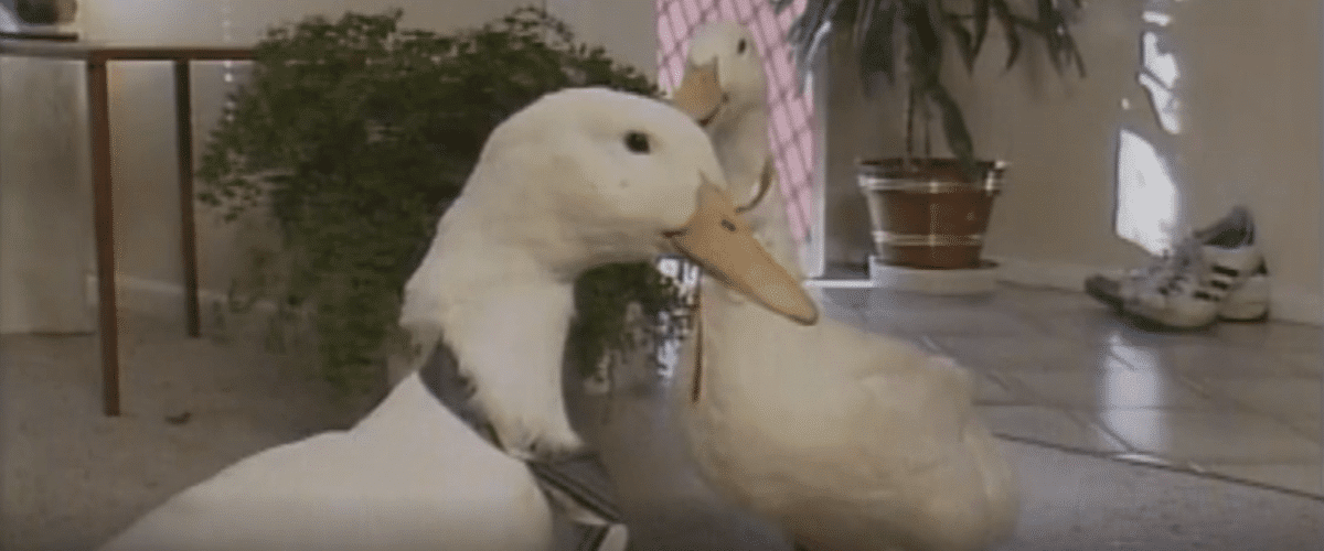 Classic Television ad