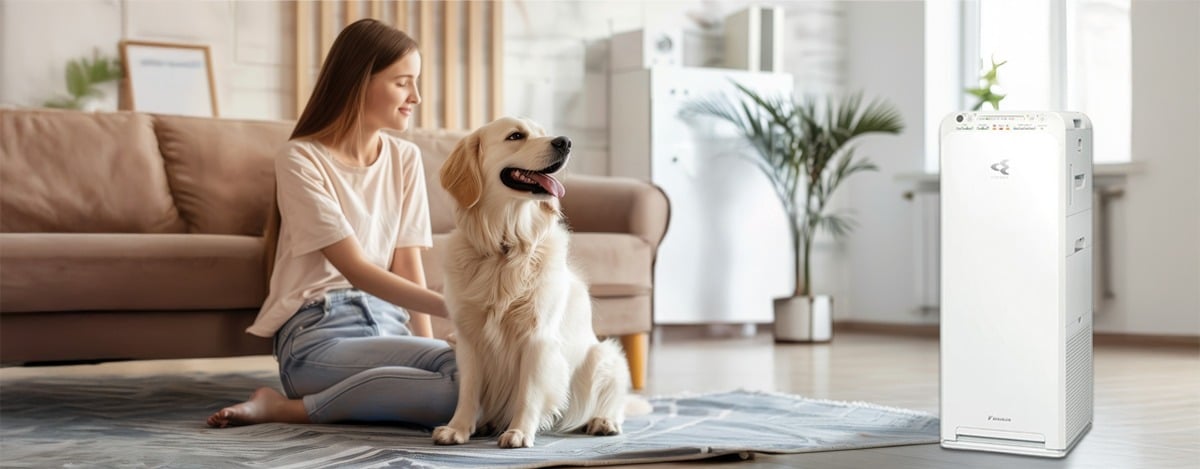Delta Air Conditioner Air purifier